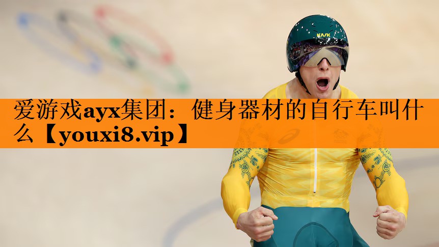 爱游戏ayx集团：健身器材的自行车叫什么