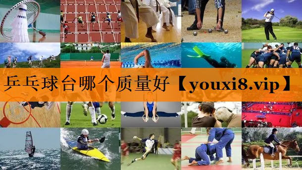 乒乓球台哪个质量好