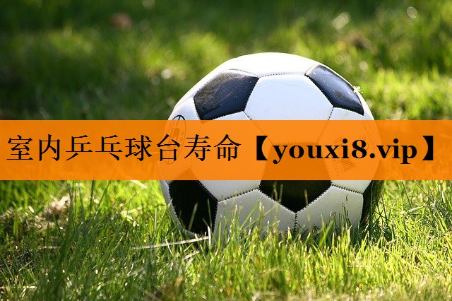 室内乒乓球台寿命 室内乒乓球台寿命