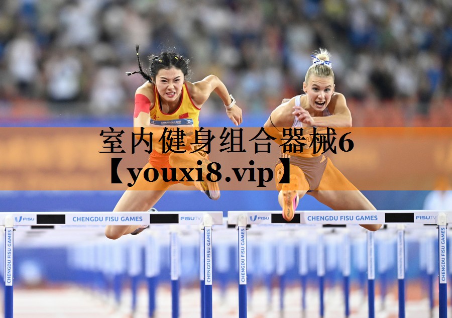 室内健身组合器械6 室内健身组合器械6