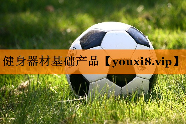 健身器材基础产品 健身器材基础产品